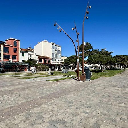 Appartement 3 Pieces Avec Terrasse Et Jardin, Proche Plage Et Commerces, 2 Parkings, Argeles-Sur-Mer - Fr-1-225-773 Eksteriør billede