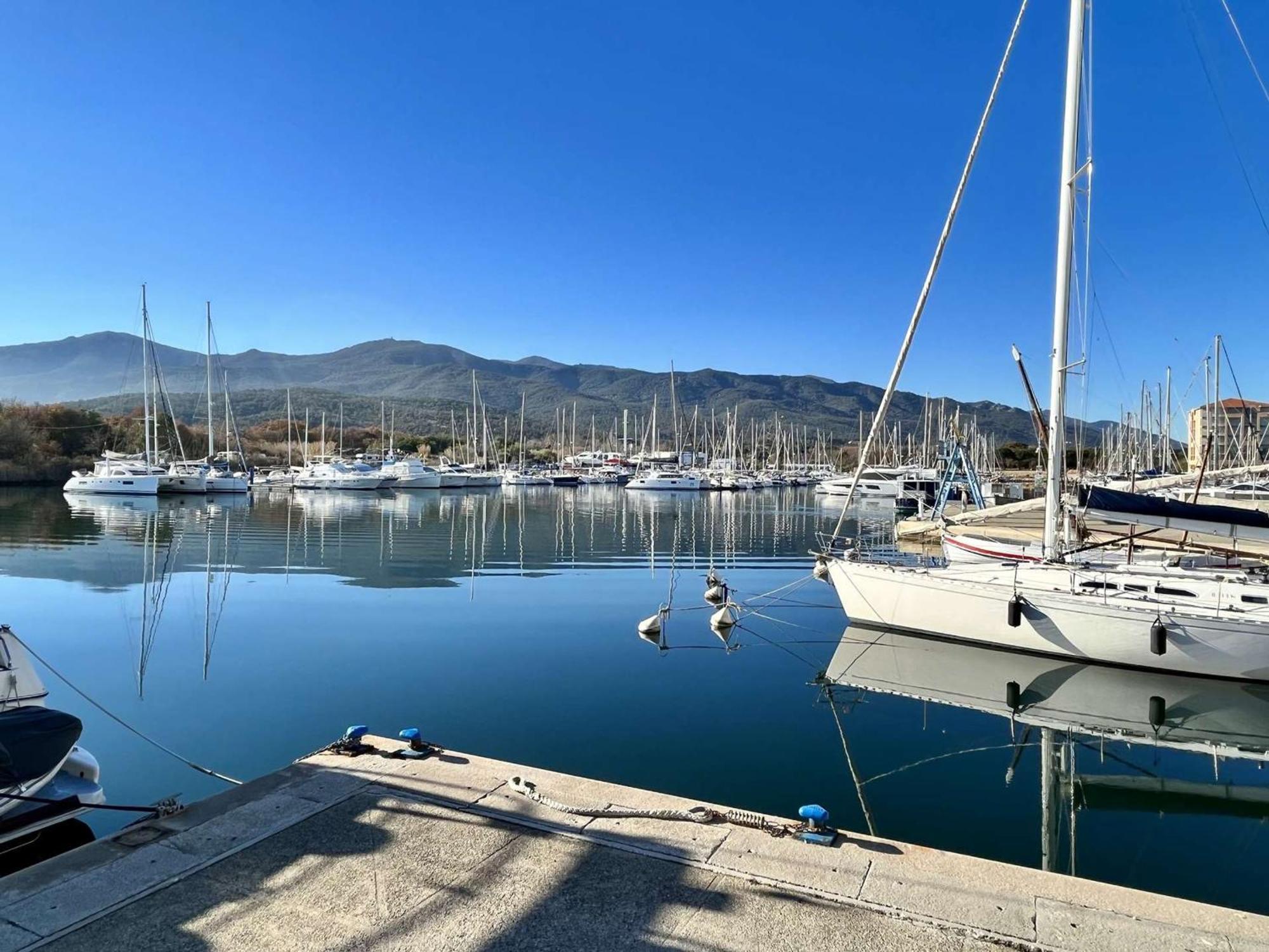 Appartement 3 Pieces Avec Terrasse Et Jardin, Proche Plage Et Commerces, 2 Parkings, Argeles-Sur-Mer - Fr-1-225-773 Eksteriør billede